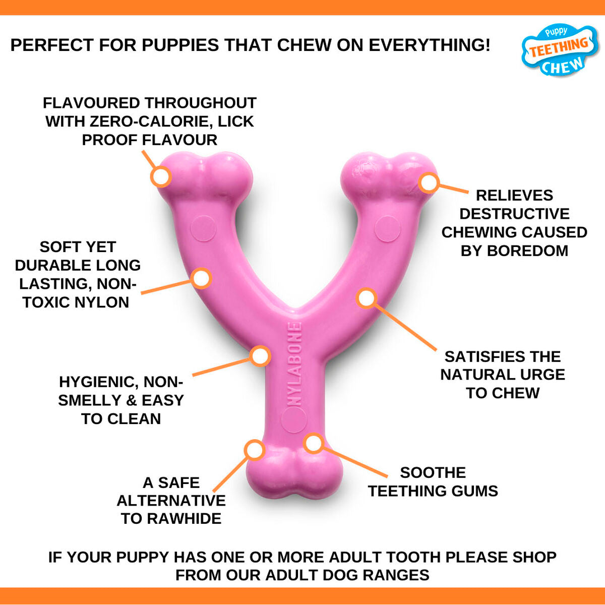 V2HA80051C87A2DD1F64C380D5E39027DBBR5574719P3