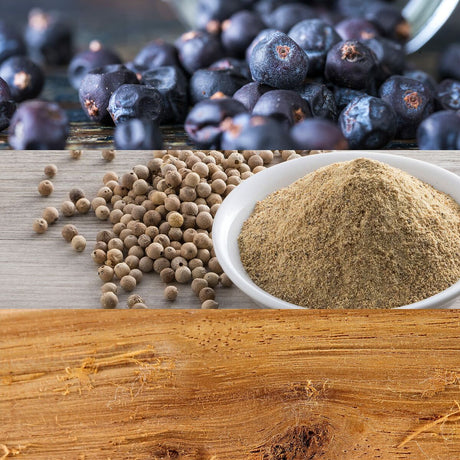 V4H56DD8656F67C334A45E91C0F7048F834R4469362P3