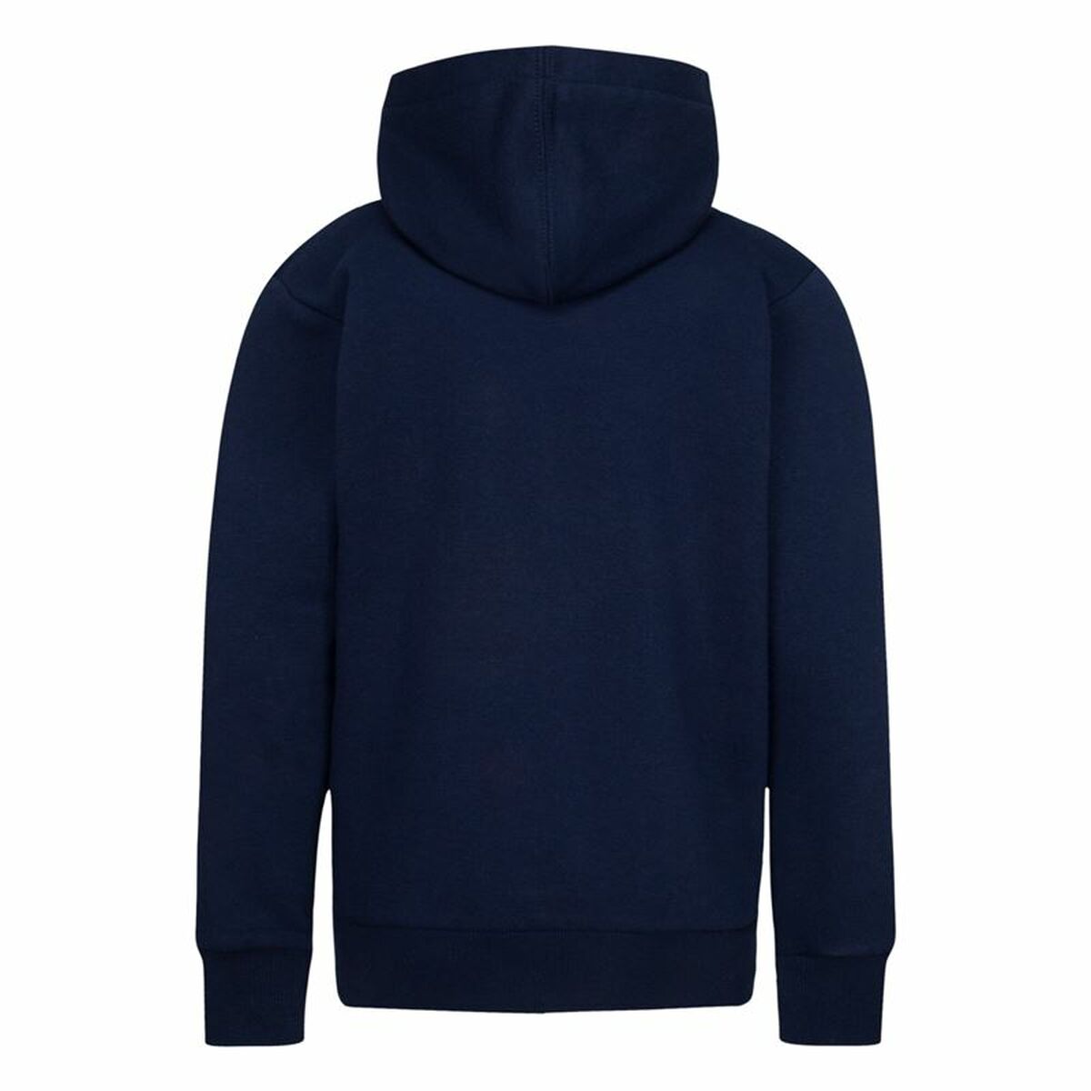 V1H64519B5E54621530DA186574D43CFF9FRP2