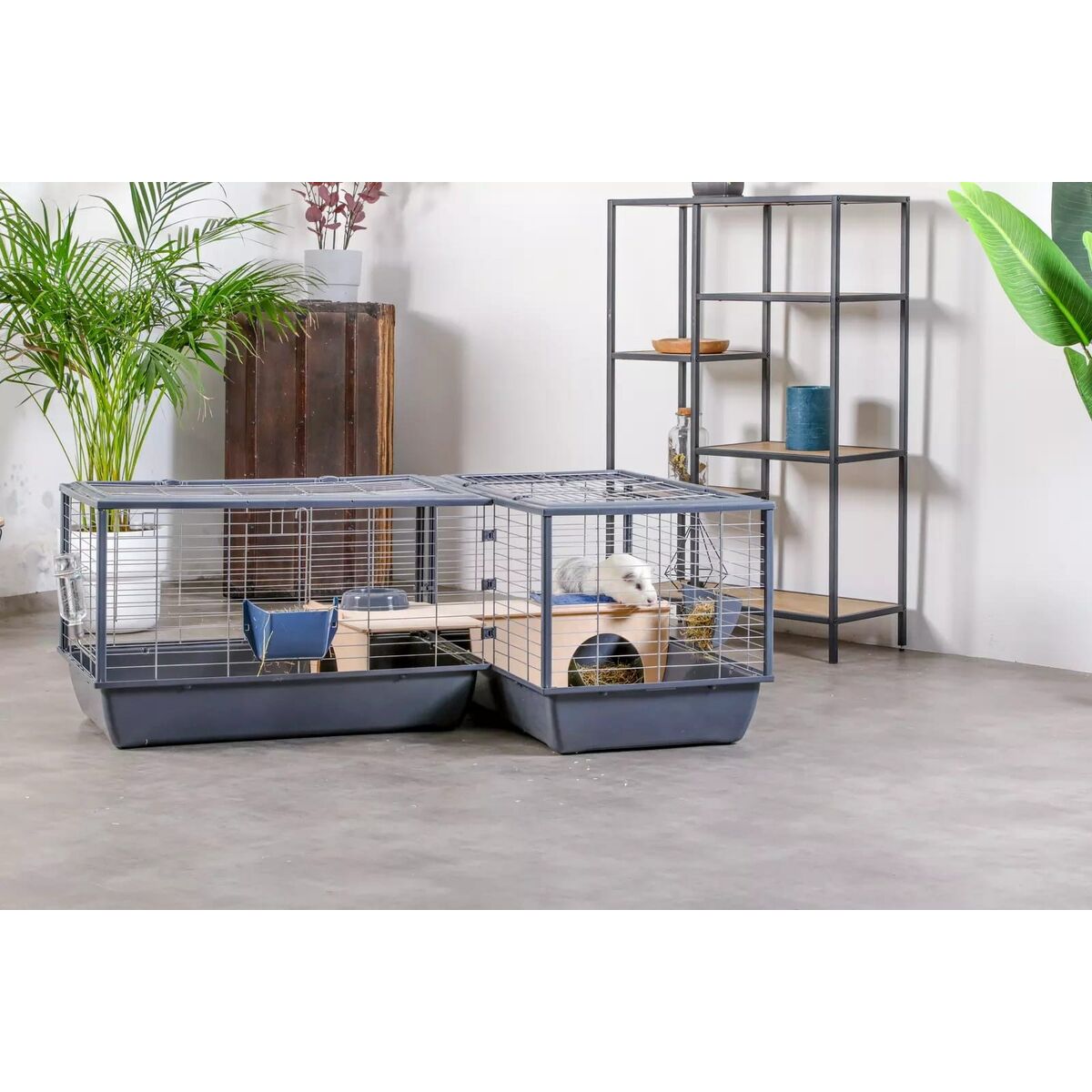 V5H7A9086793C9CEA3548DF9771BD86A6BER6381538P3