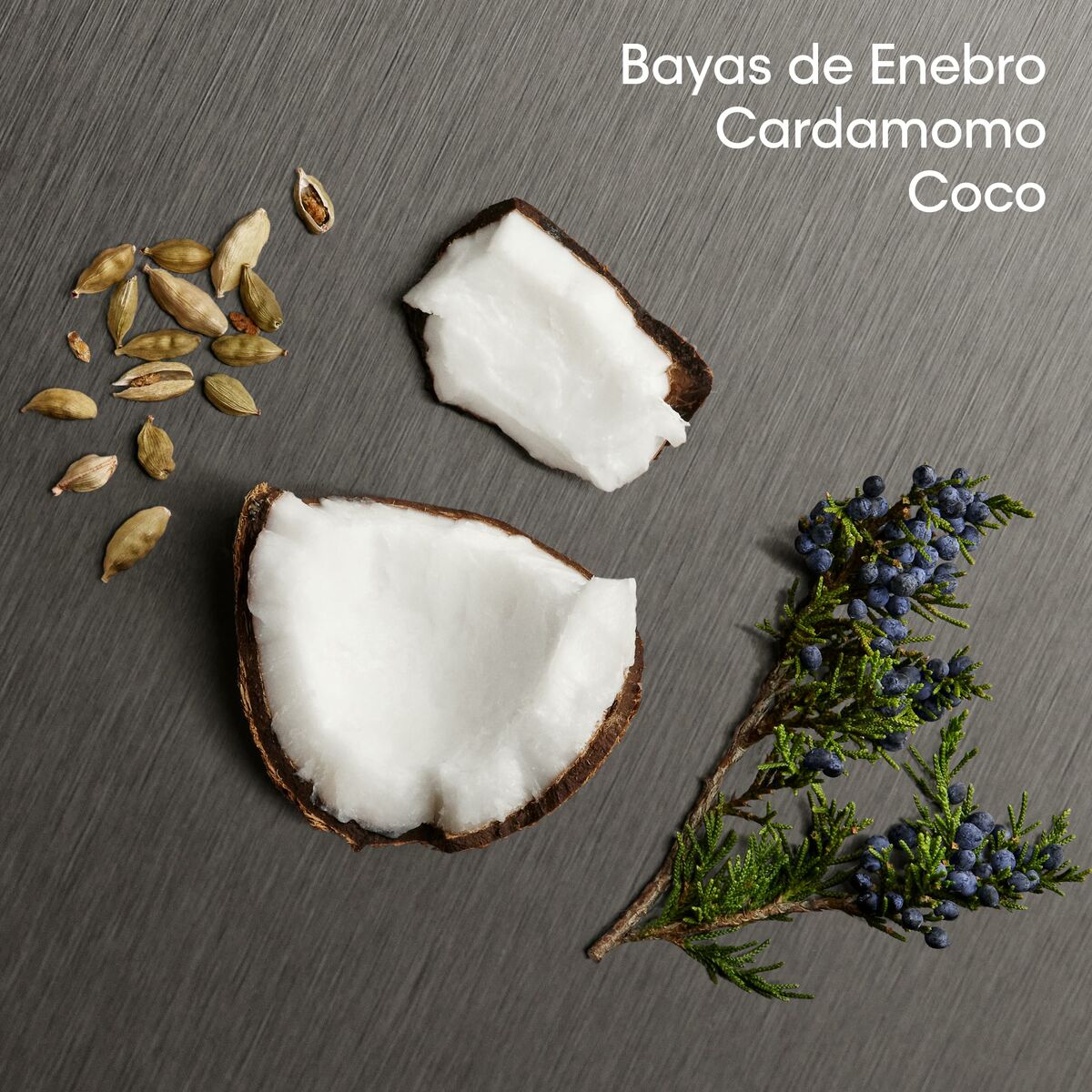 V1H6038A96D285265B1A0FF48758CC06D24RP10