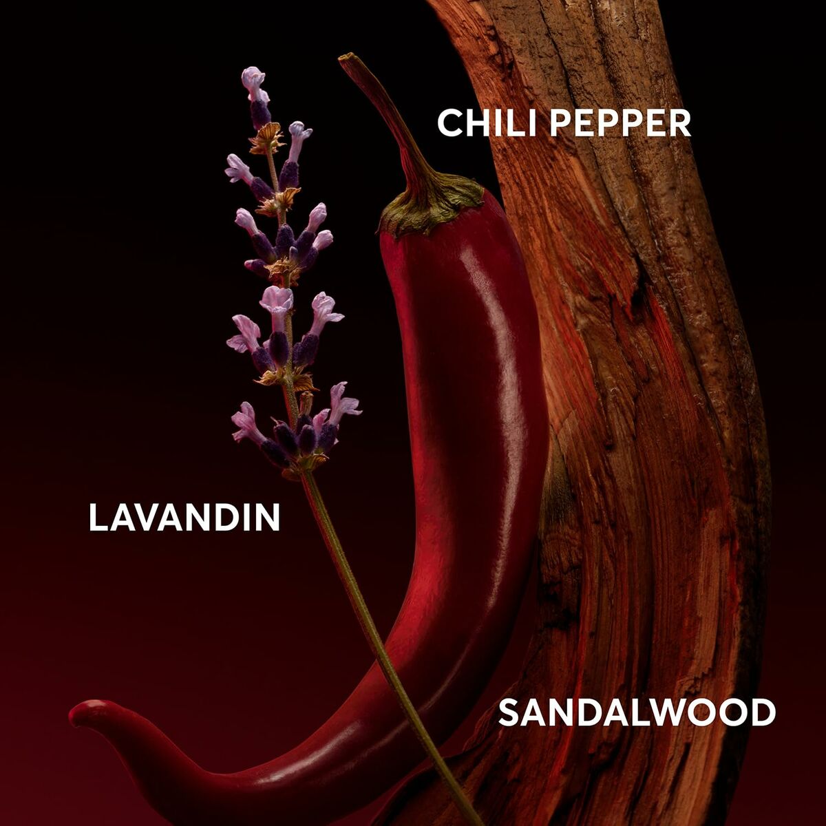 V1H778C2C69671F238496A985FCBAD001AARP3