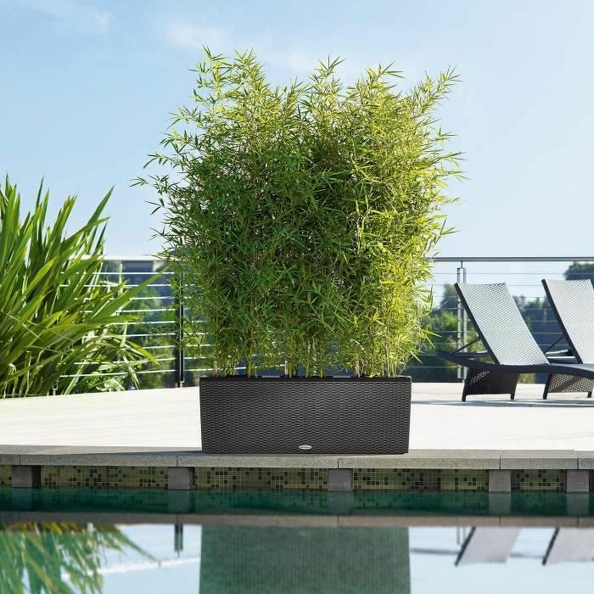 V4HBD3D83A40B41C510DF9889CC83A40AE7R4310478P3