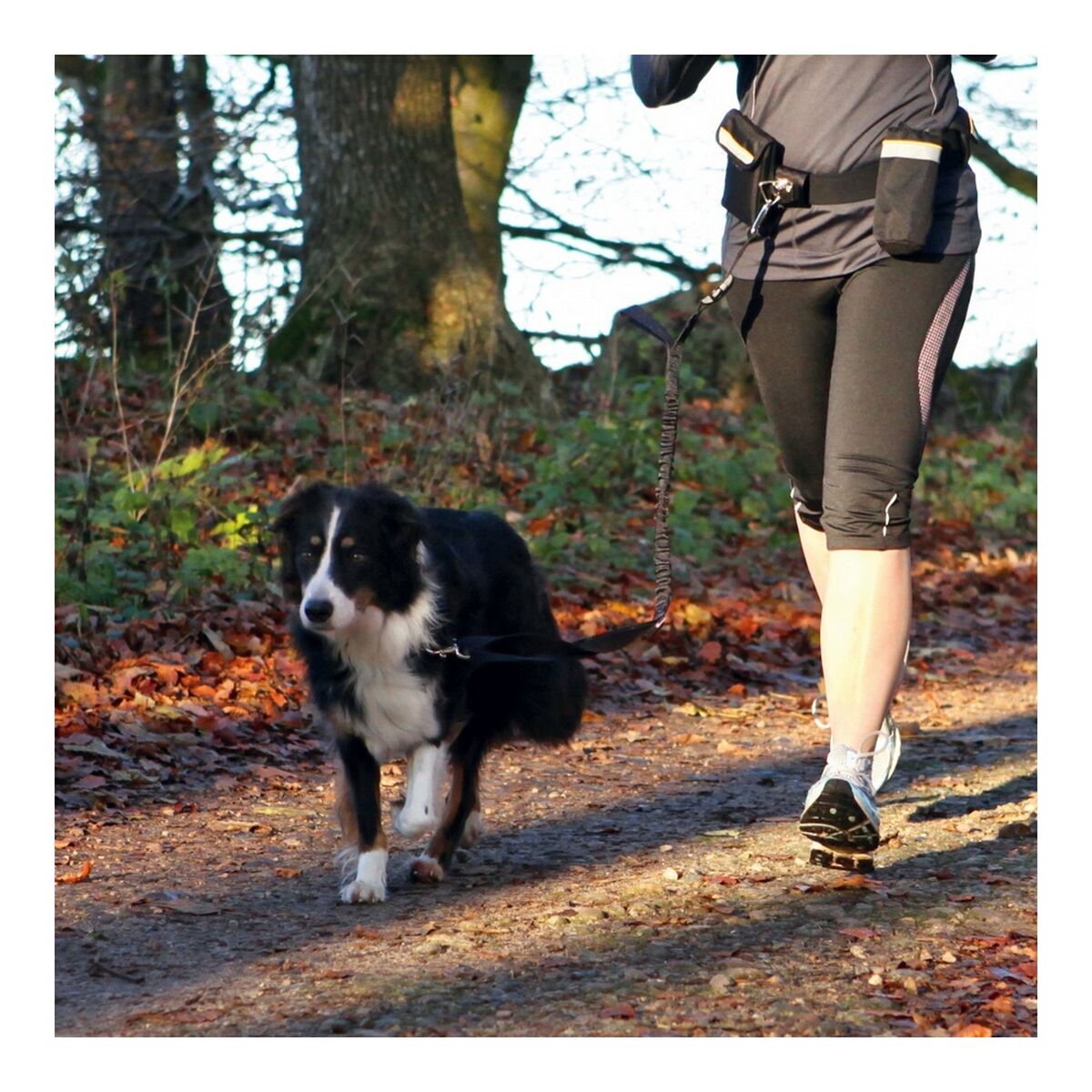 V6H5025C5CF985965E895DF830BEF9F22ACR4034499P2