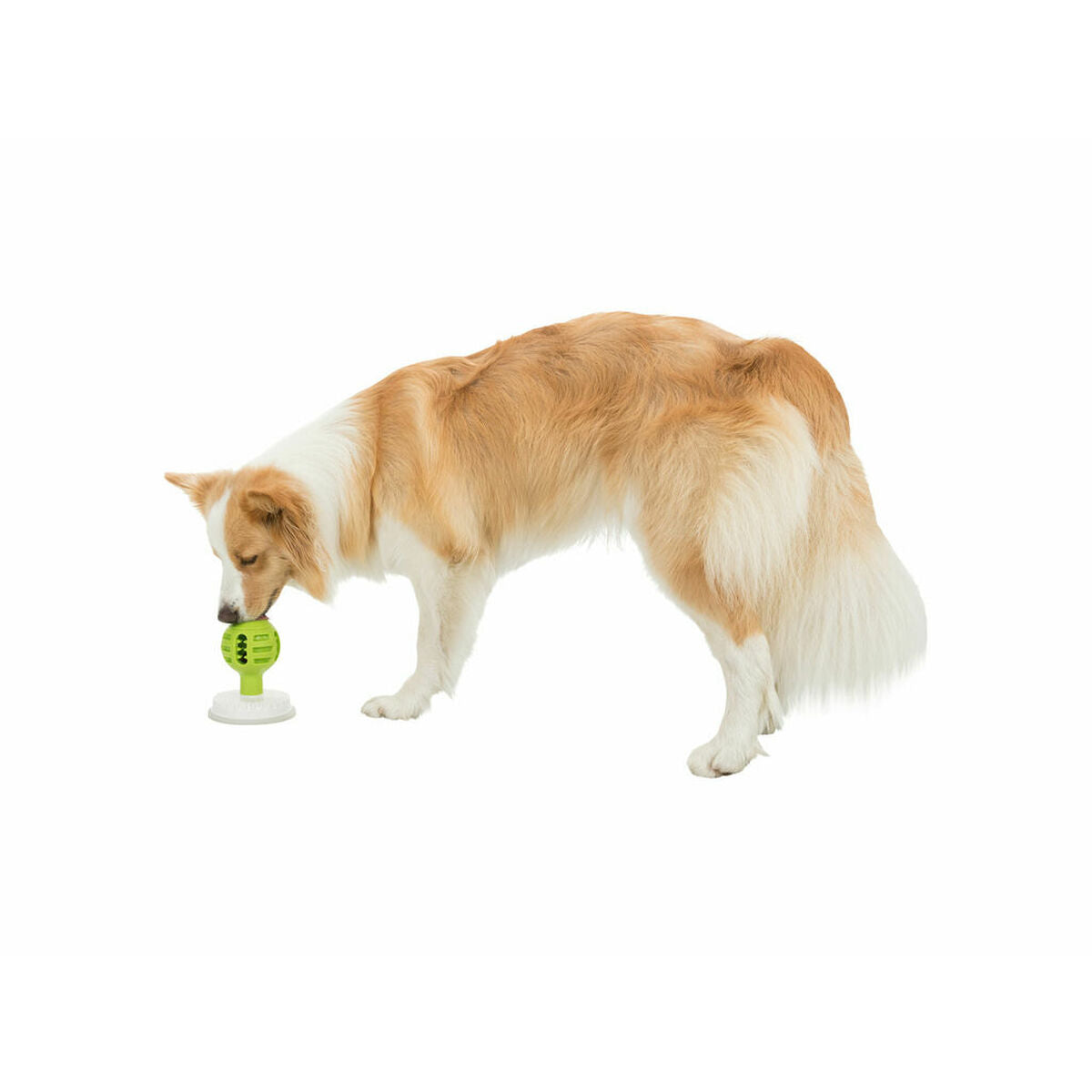 V2H309DD89F6025D44883A87DC3D5522E44R5590625P9