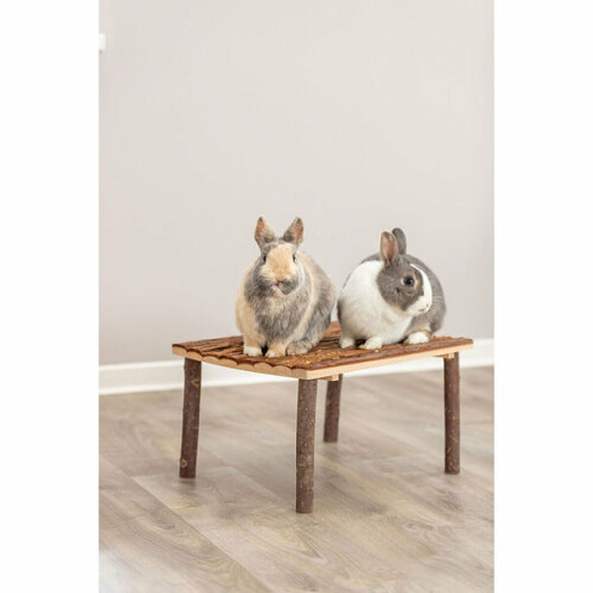 V2HD43DCA10ED47A4C0BC4F74C858F327CFR5592069P10