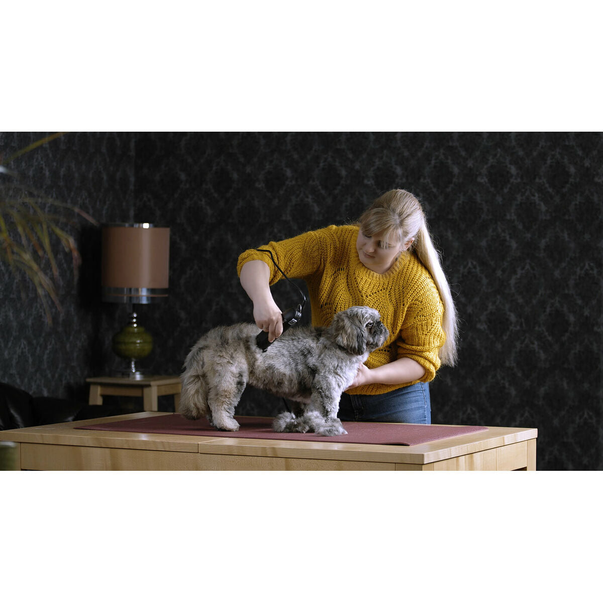 V6H1753C21957A6D6E6A10474789F141B78R4268347P6