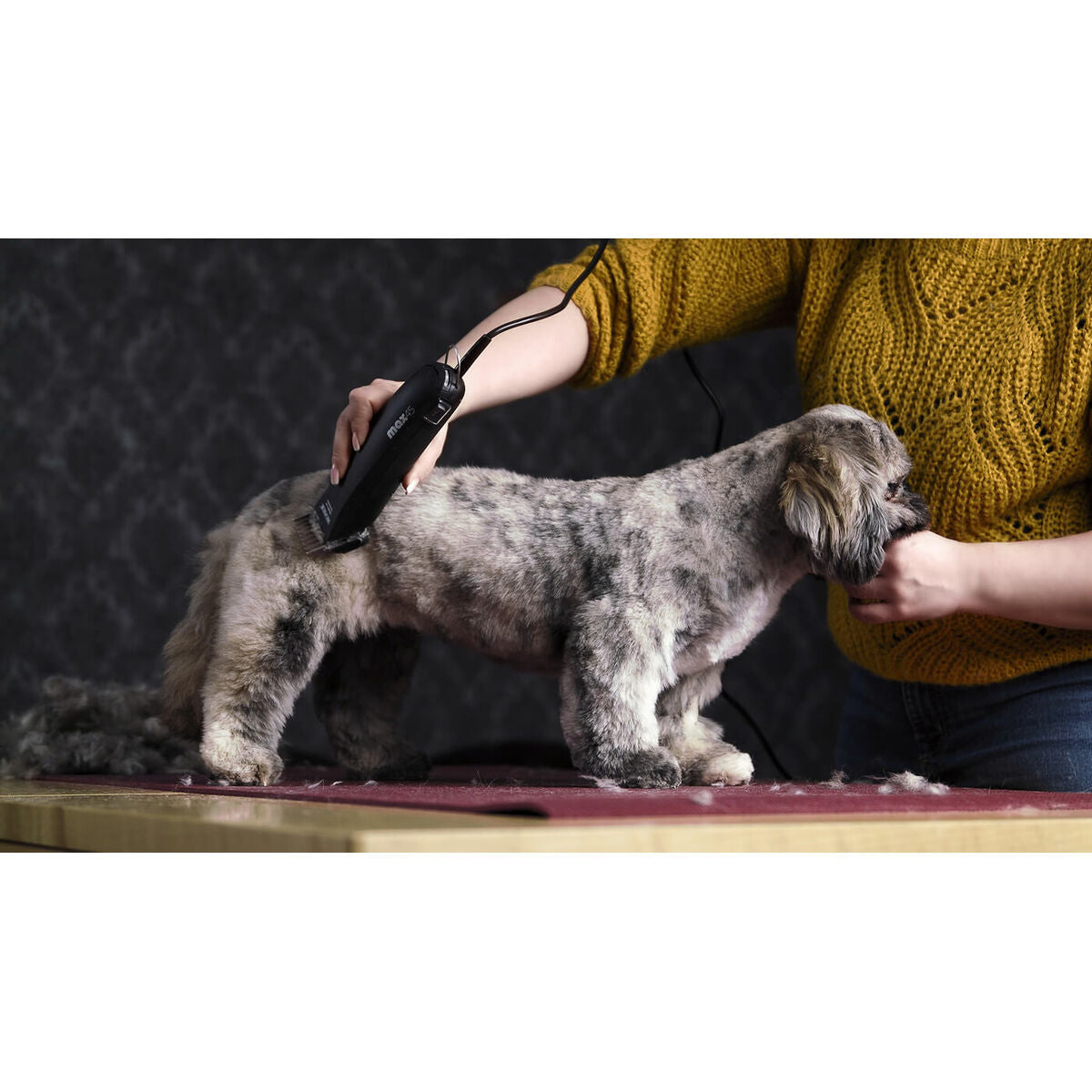 V6H5B443433869928CED615011C045DB5ADR4268348P7