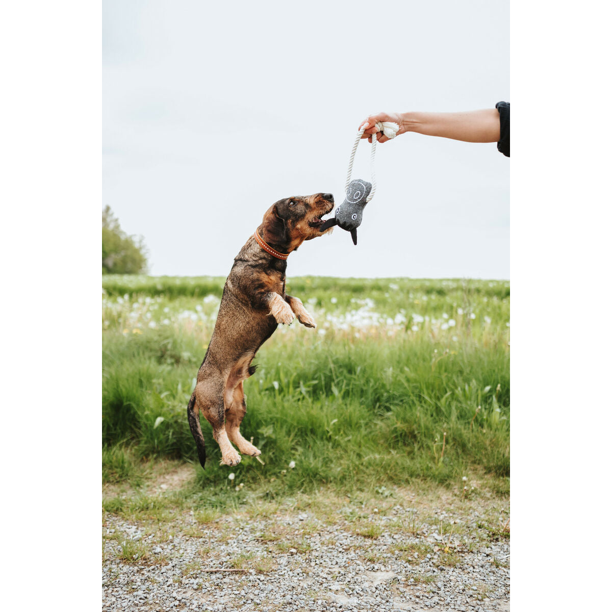 V2HF87D1BC52F5D3A4AFA60C0D07F2DFE0DR5574763P2