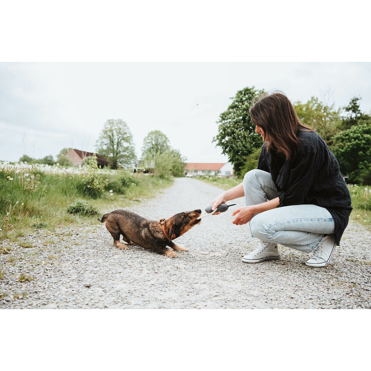 V2HE53FDFC4F91D869B3CA0C9F7F2D77B11R5574765P4