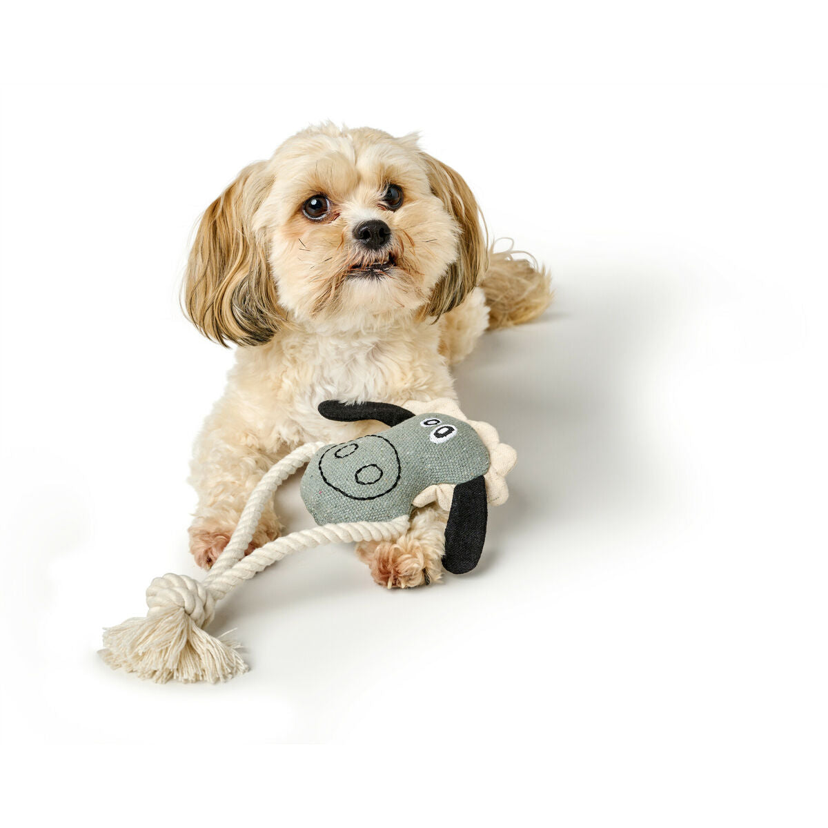 V2HBF6E0600A072A46AA710E39B0EB61D5ER5574741P5