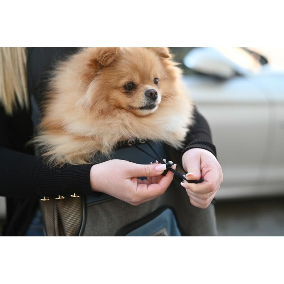 V3H45AF3BADDD9866CE6CDBE80197DBAF09R4948047P7