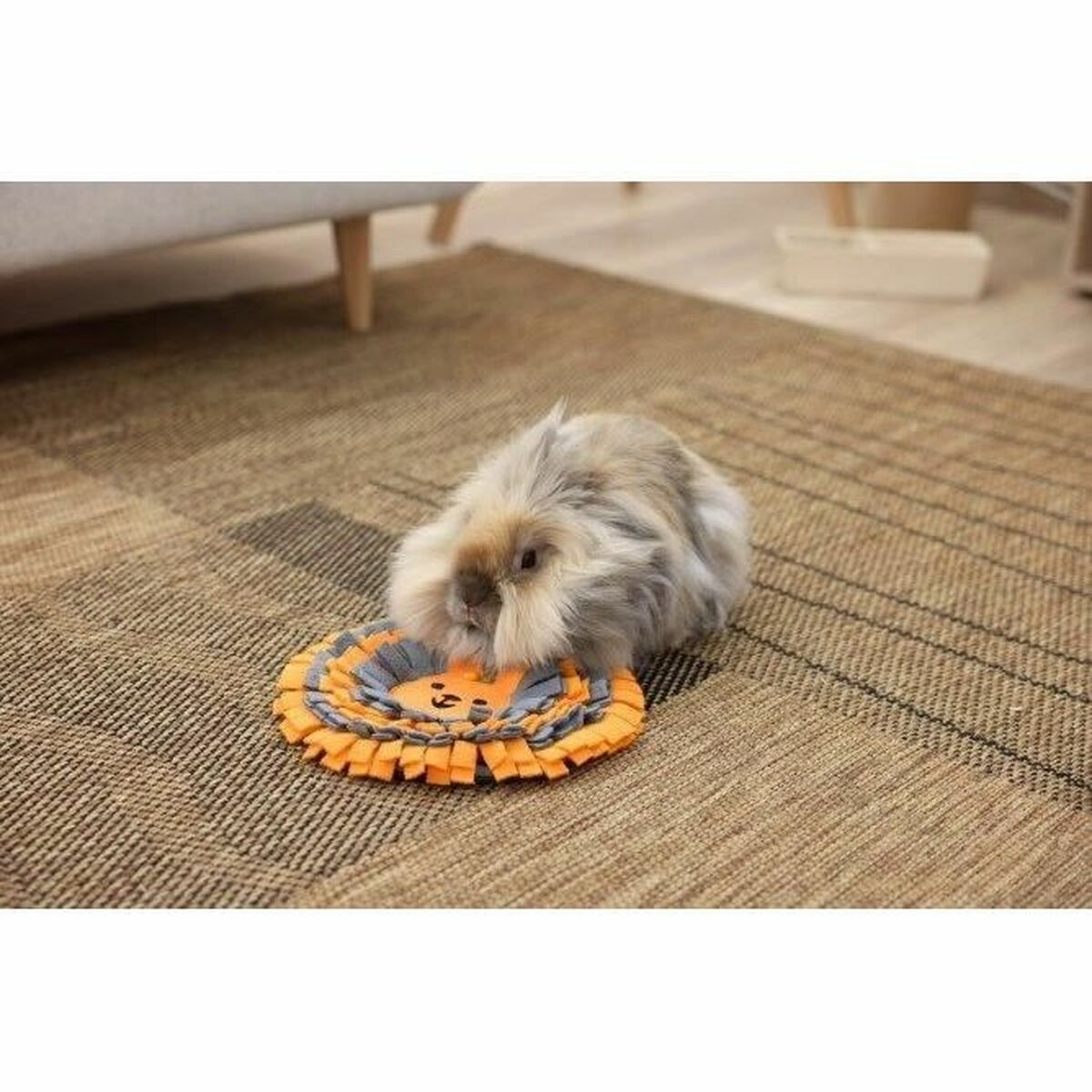 V2HE485A3E4D160DC9F377EFF9BF6798C3BR5568386P3