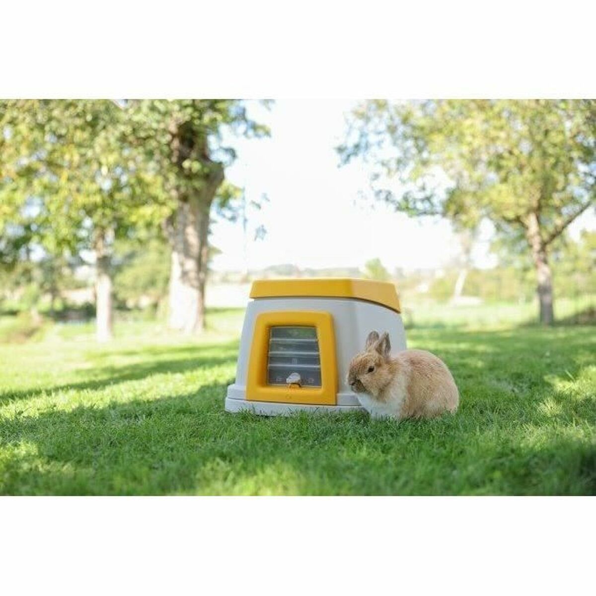 V3HDB48EC73C0B349C2CC5DA6A3F2DD4A70R5568313P5