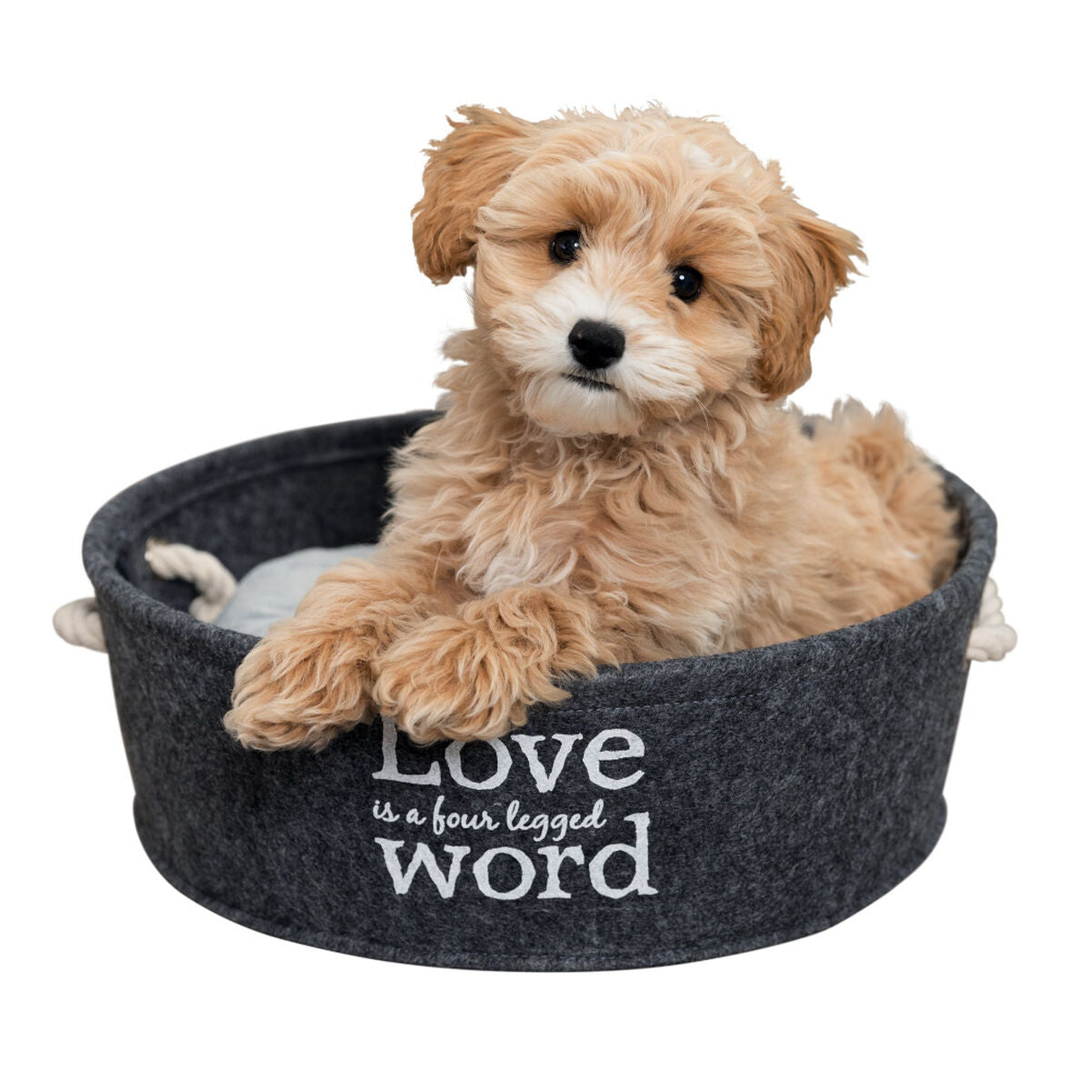 V4HFE0C3A3DFA5DE3CBC6299B5038D6A8ACR3364574P4