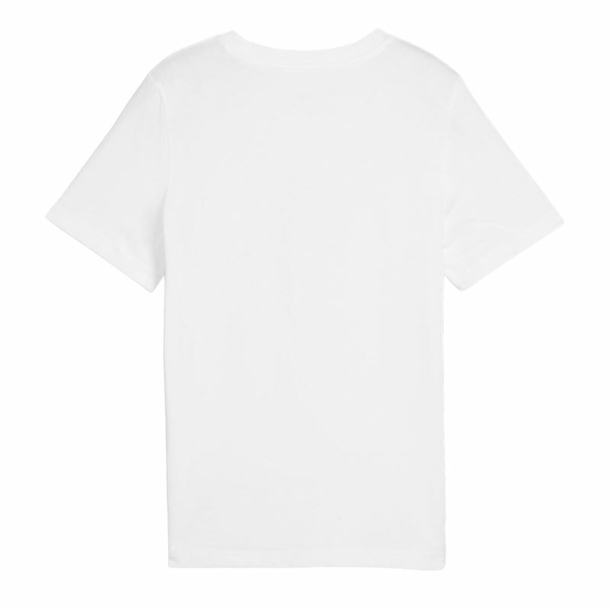 V1H6F3F621990922BD61F12B0C9BD57D3EDRP2