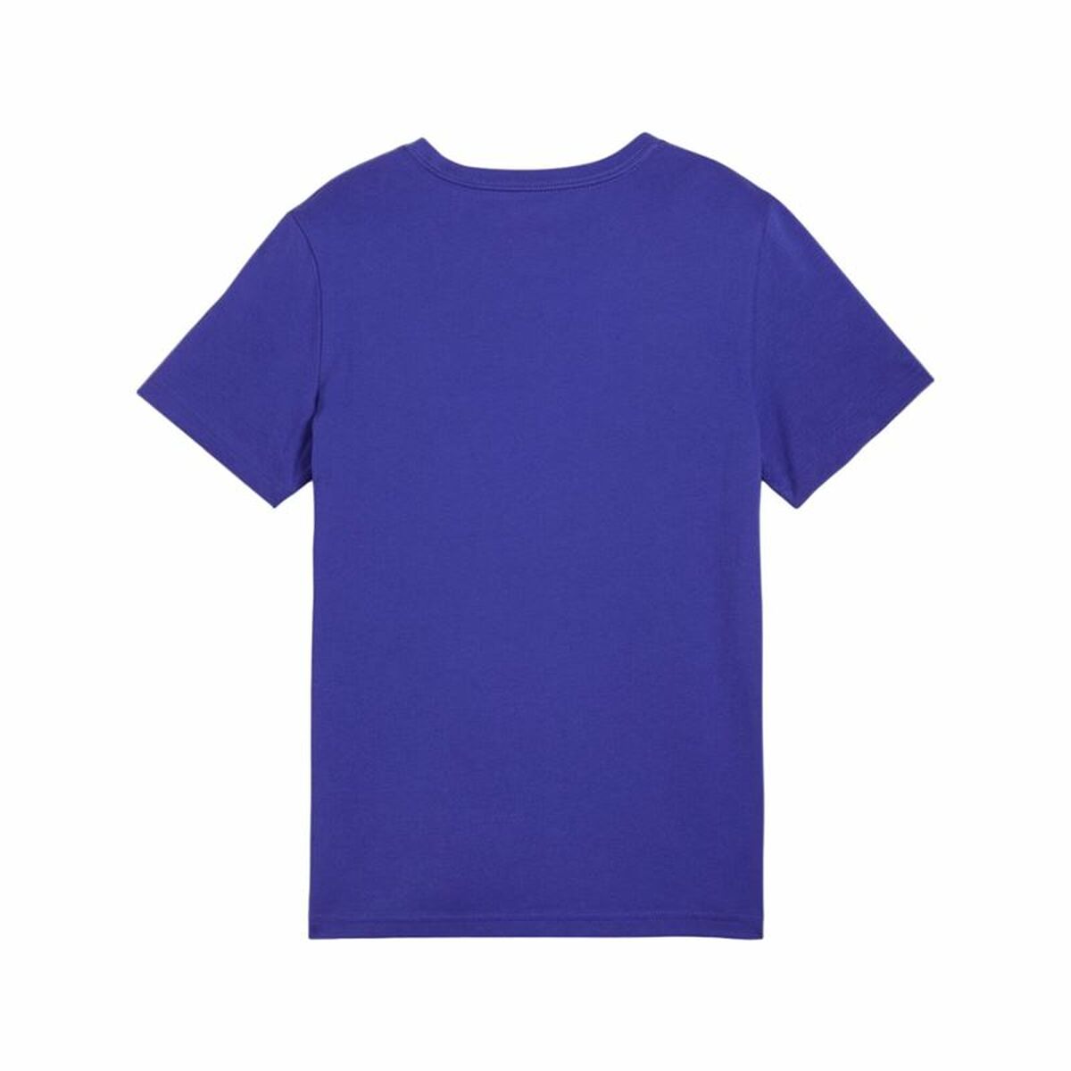 V1H2540A80B15D2D294FB813238FF0BEBF4RP2