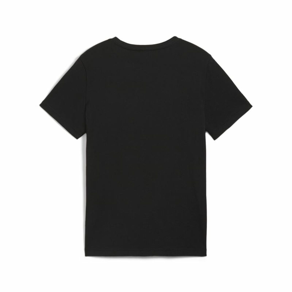 V1H0D0FB30D2938DCEF83B4D494A2EC02EERP2