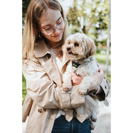 V2HF35A88E620B46FBF4DC7AC2B640B3345R5575630P4