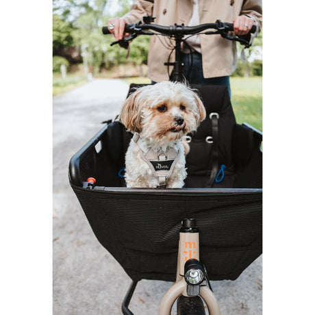 V2HC8278EEB22FAC9087280E6A17AC07078R5575638P7