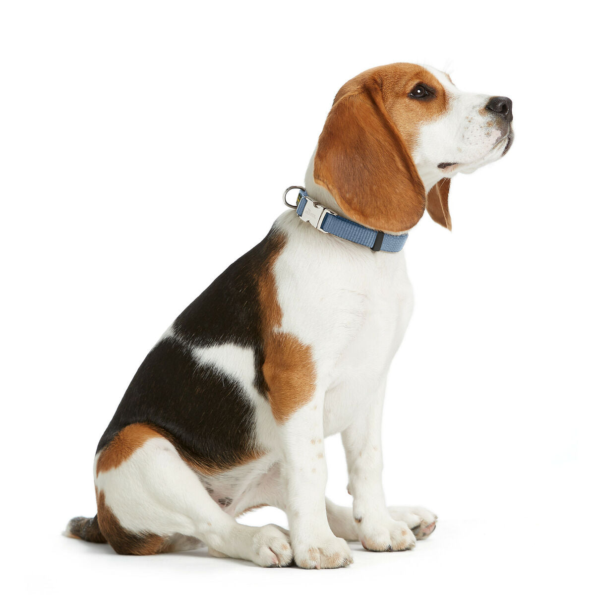 V1H0E4691F80A3087E70987D3B01E692C0ARP2