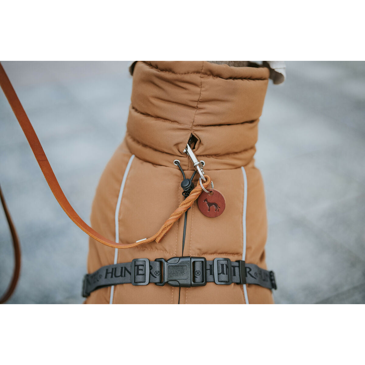 V2H5E839F948B2B212E47236E746D57D617R5575923P6