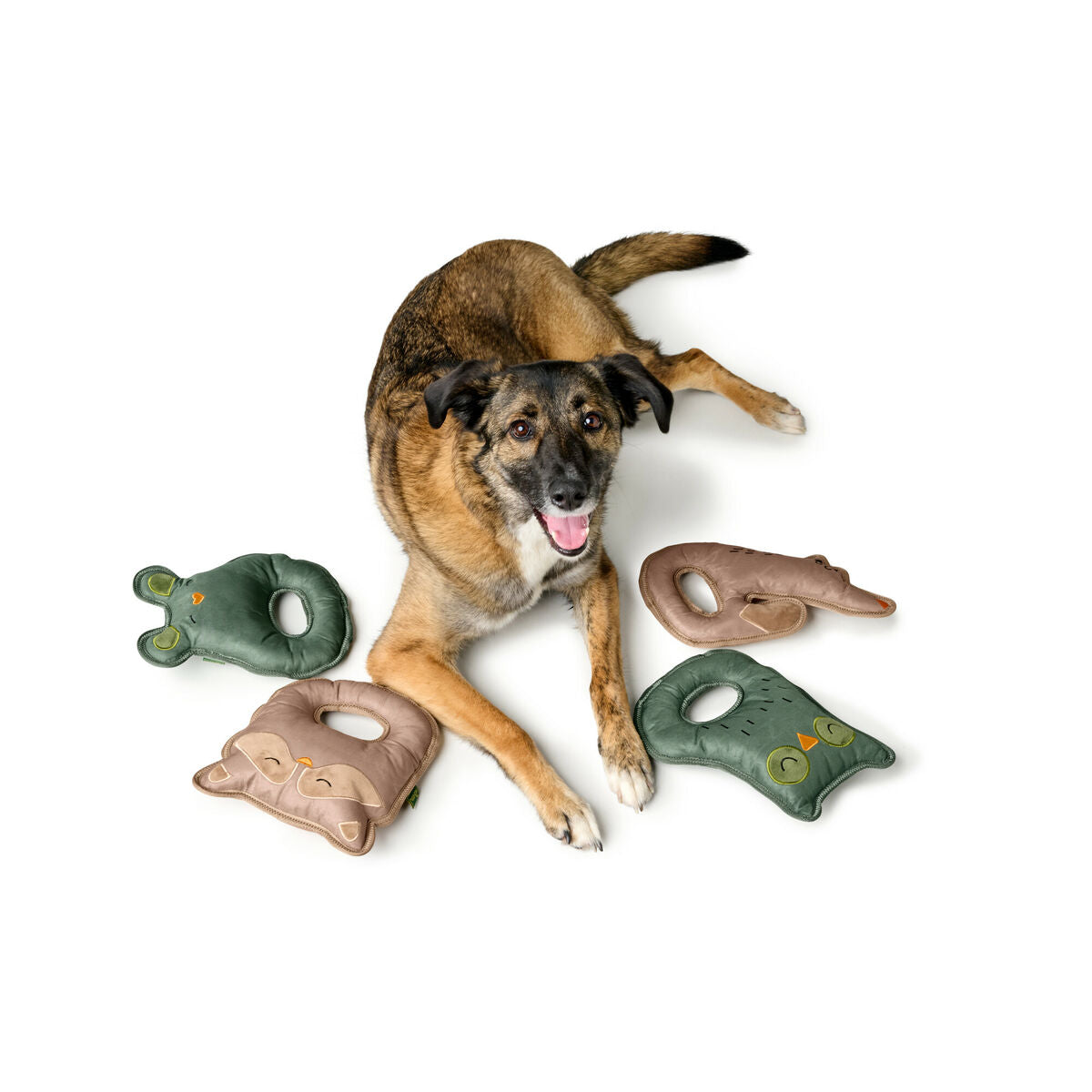 V2H06F979853D28CA95A9610FA16AD42F7DR5574800P4