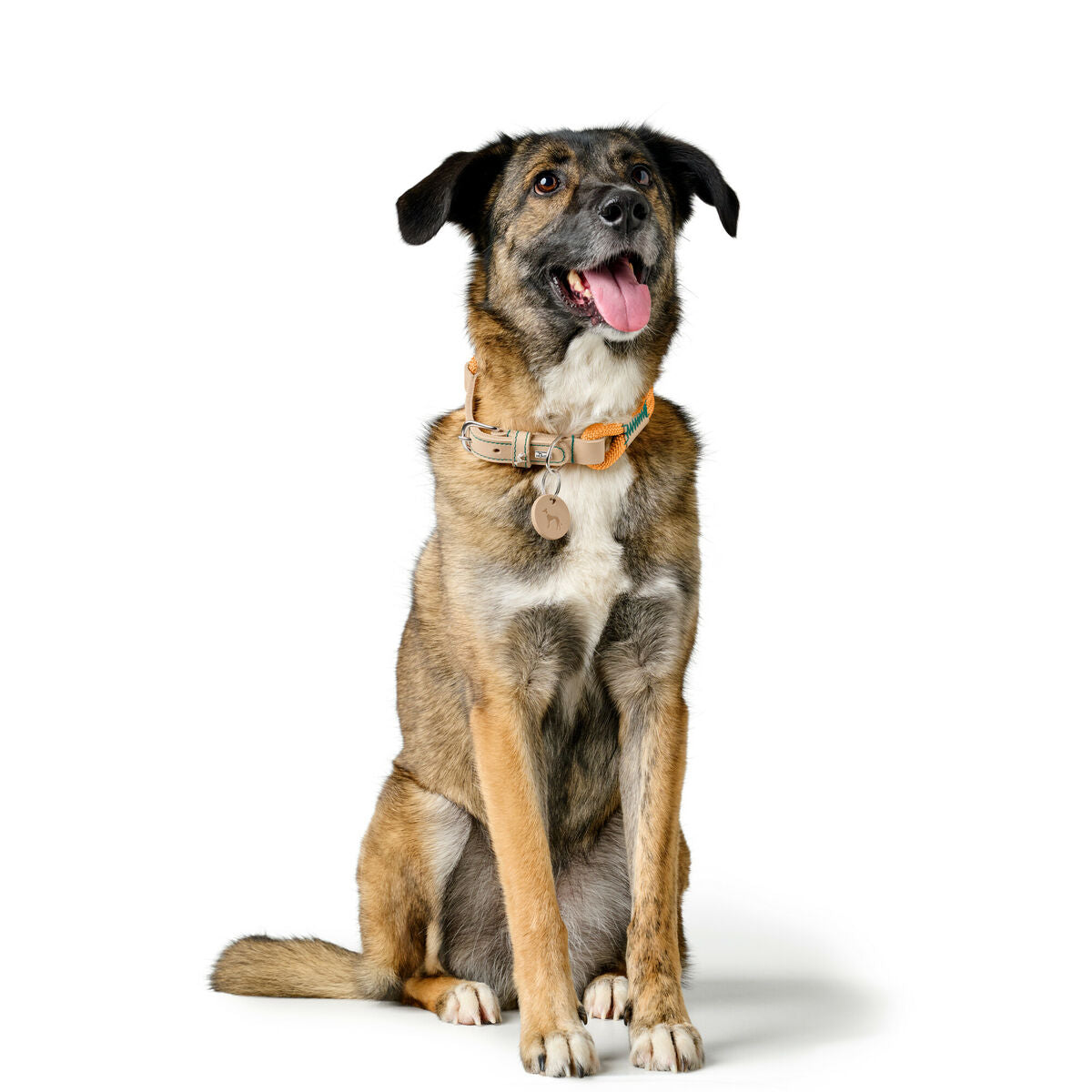 V2H3A6581499E56ECCB6D7C1CE77E693981R5575444P3