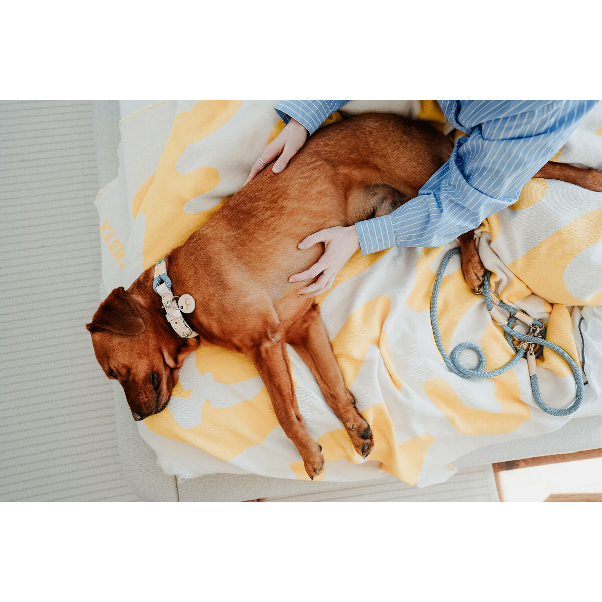 V2HF2FBAF9A86D22786F69C6851732953F8R5575436P6