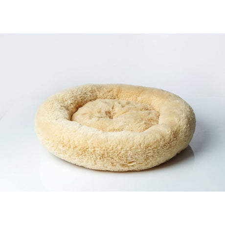 V3H7065125A985293574B7623B588A64835R4690021P2