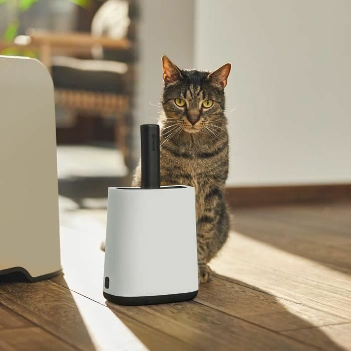 V3HD5BBA2AE4C5DFFEC3BE2E07D49F93E1DR4546300P2