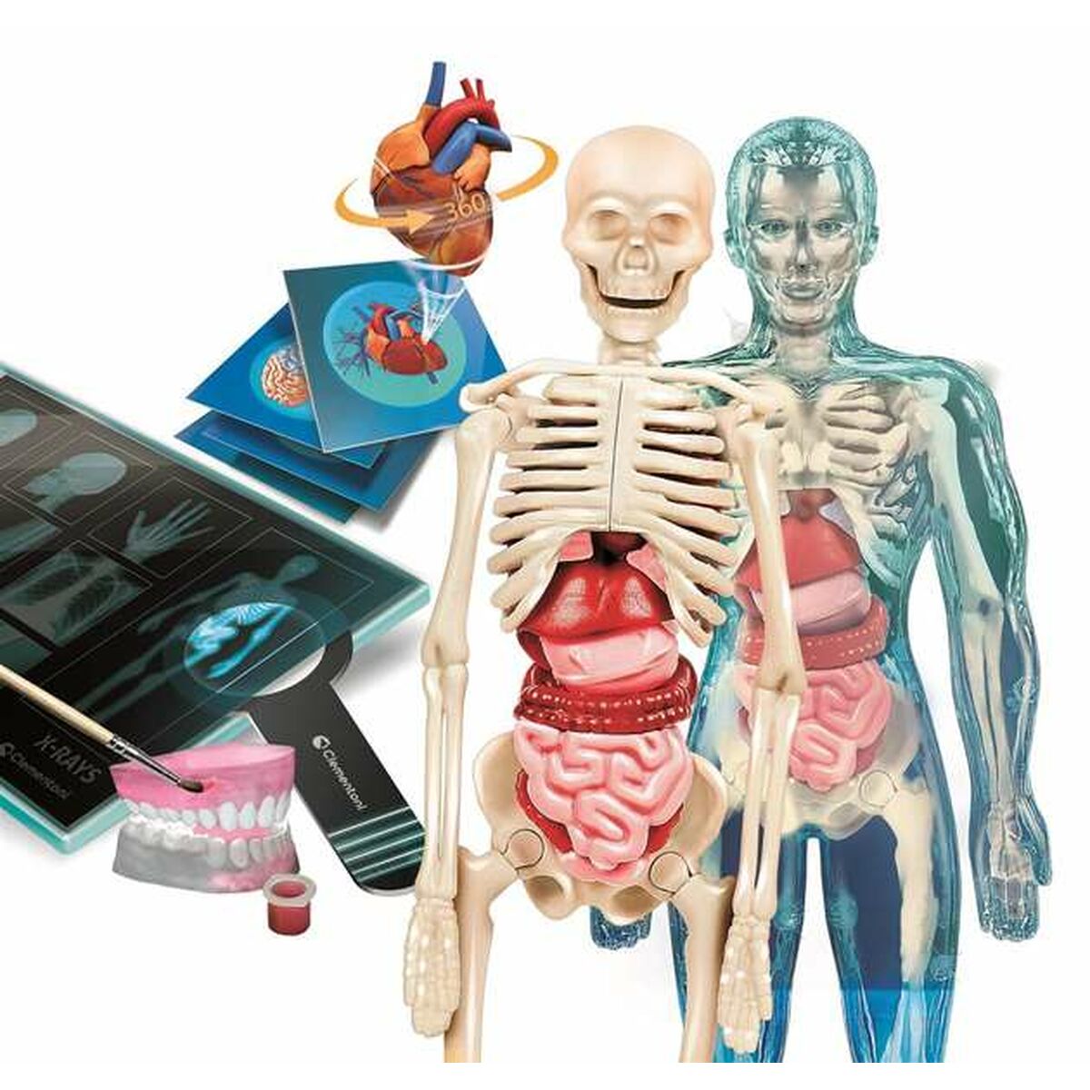 V3HC3625D4D65AFCCC1879AE8282CC976B0R4424529P2