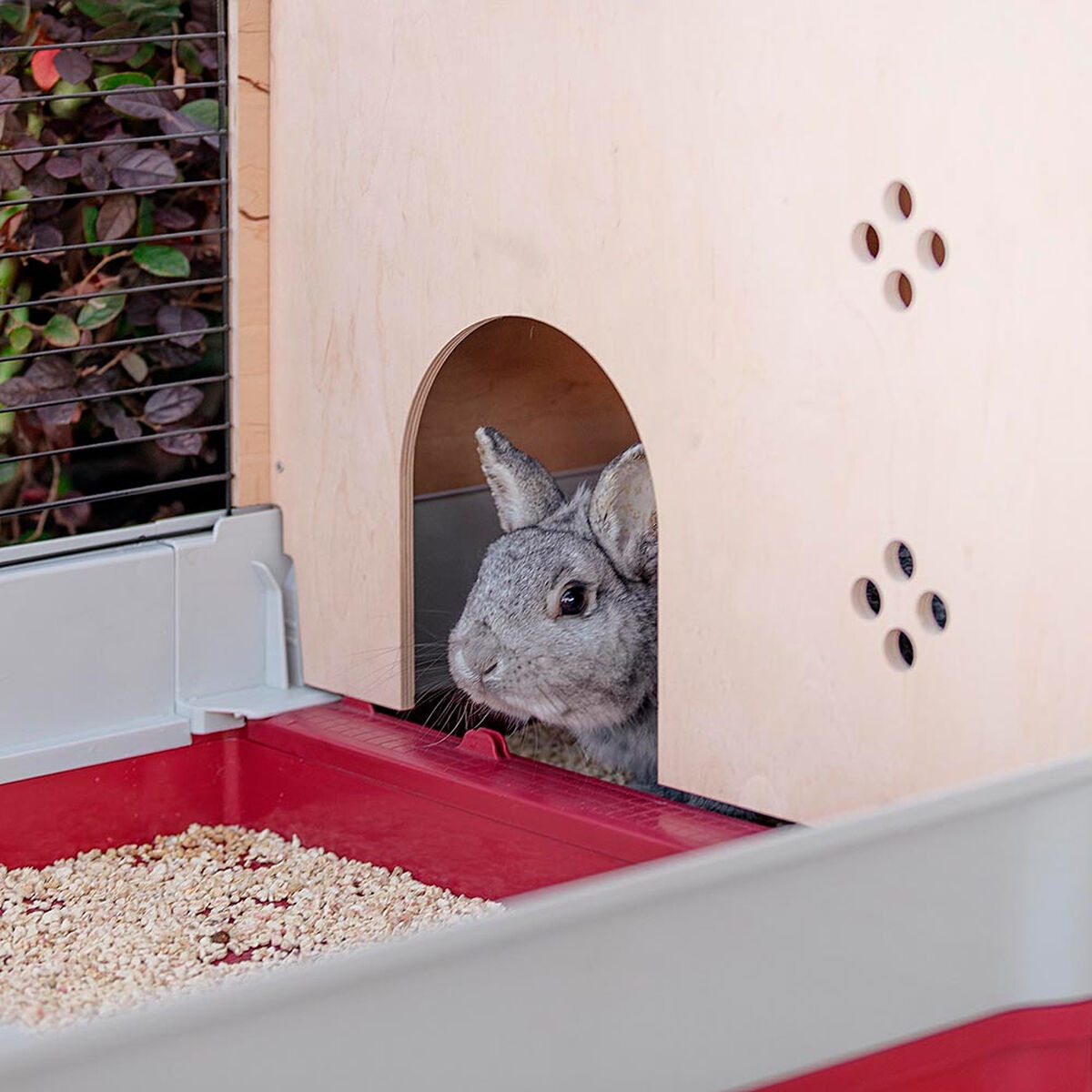 V5HC3F8DB078DAB83F88C8633B38D862C3ER3856504P9