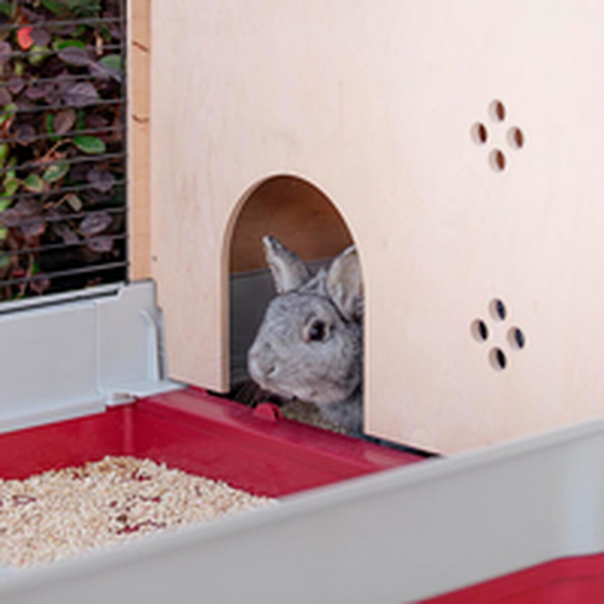 V5HA2B4A26EC9CAE846662384EAB9FD5D11R3856505P10