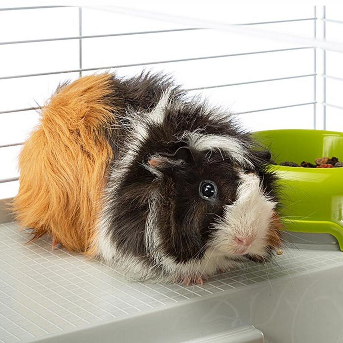 V5H7941A7E5DBA78471D39A2903C1665BDDR3957917P6