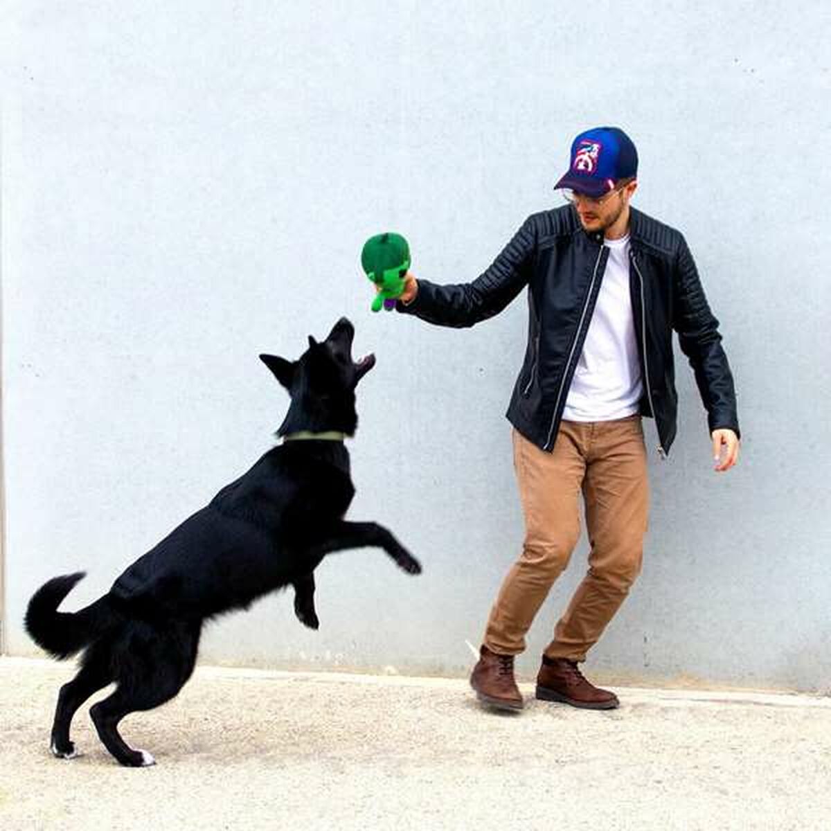 V1H9DBFCF6D9C593DE64D80FC7EF6262B97RP8