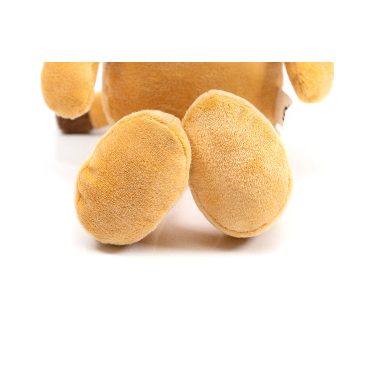 V2HBF50C1CF599A9C87C26392DB21CC2449R5575056P5