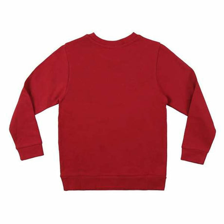 V2H43D1C49A8D6C0634F6A4634DCC80B340R5492112P3