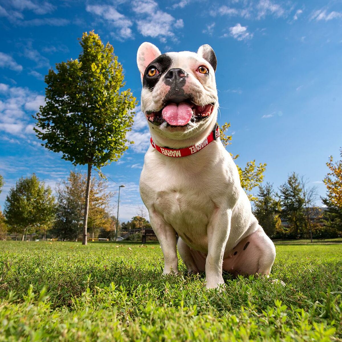 V2HA41266FBD6BDBD0E3CE62E15F6C2B5B0R4655548P7