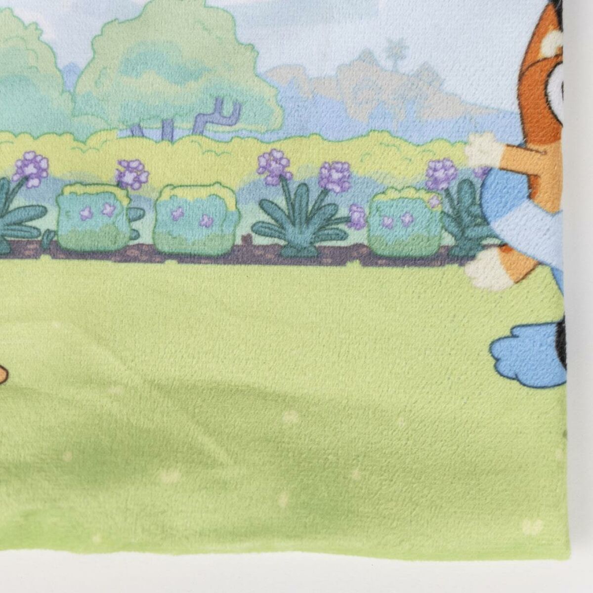 V1H29FF478A203B4E028BC204A3513C2897RP4