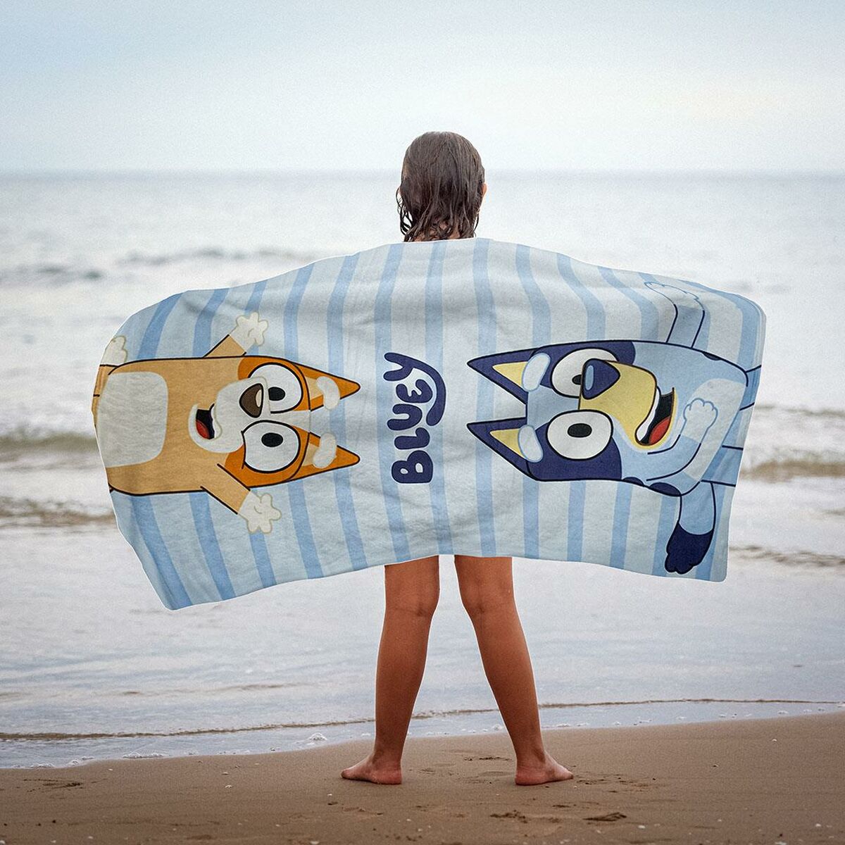 V1H3724DC6D740B2B7F776AB27BEACE5217RP3