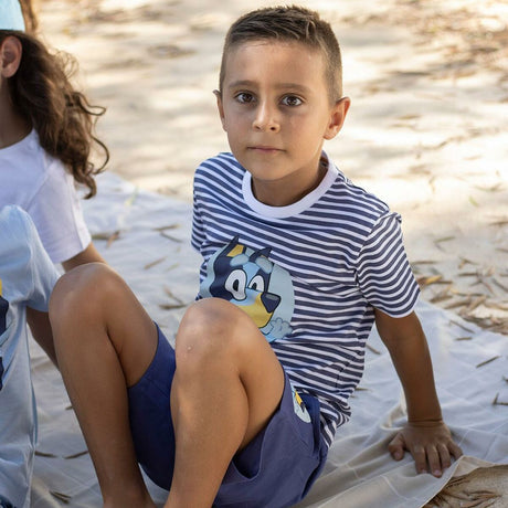 V1HD0401765C2816DC72329932D9AFAE492RP3