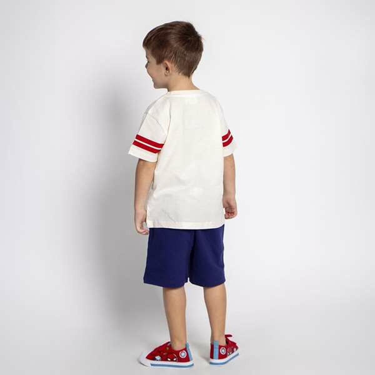 V2H8EFD120E795403410F25C732943C8DAER4785314P6