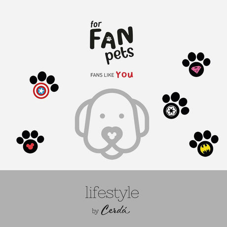 V3H76023A79B8D882F61C9BE978C21B4064R4972197P4