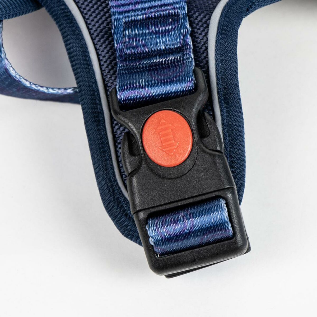 V3HC800D06F8BF69BB888867F1E316B4A36R4972199P5