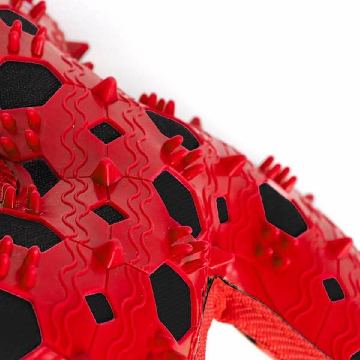 V2H879124BBB0C2C6C2D4E10EA79D3CB444R5100398P8