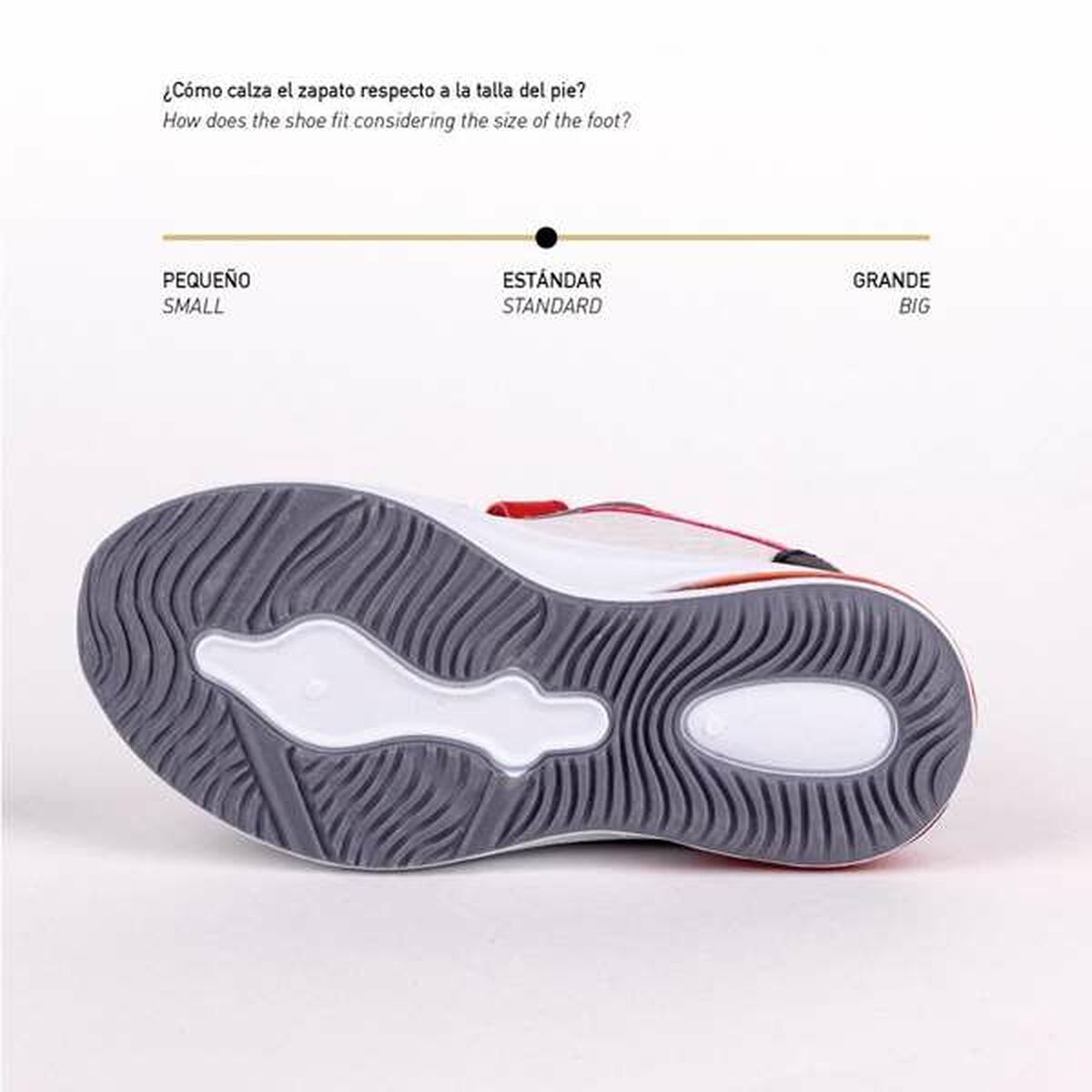 V2H2E8E7A6250E32031F7A226459AE8DE02R5554534P3