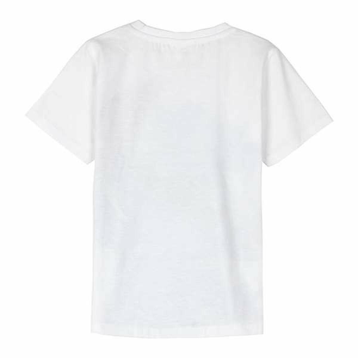 V1H8FC367058CB38838534E2C72F59E923CRP2