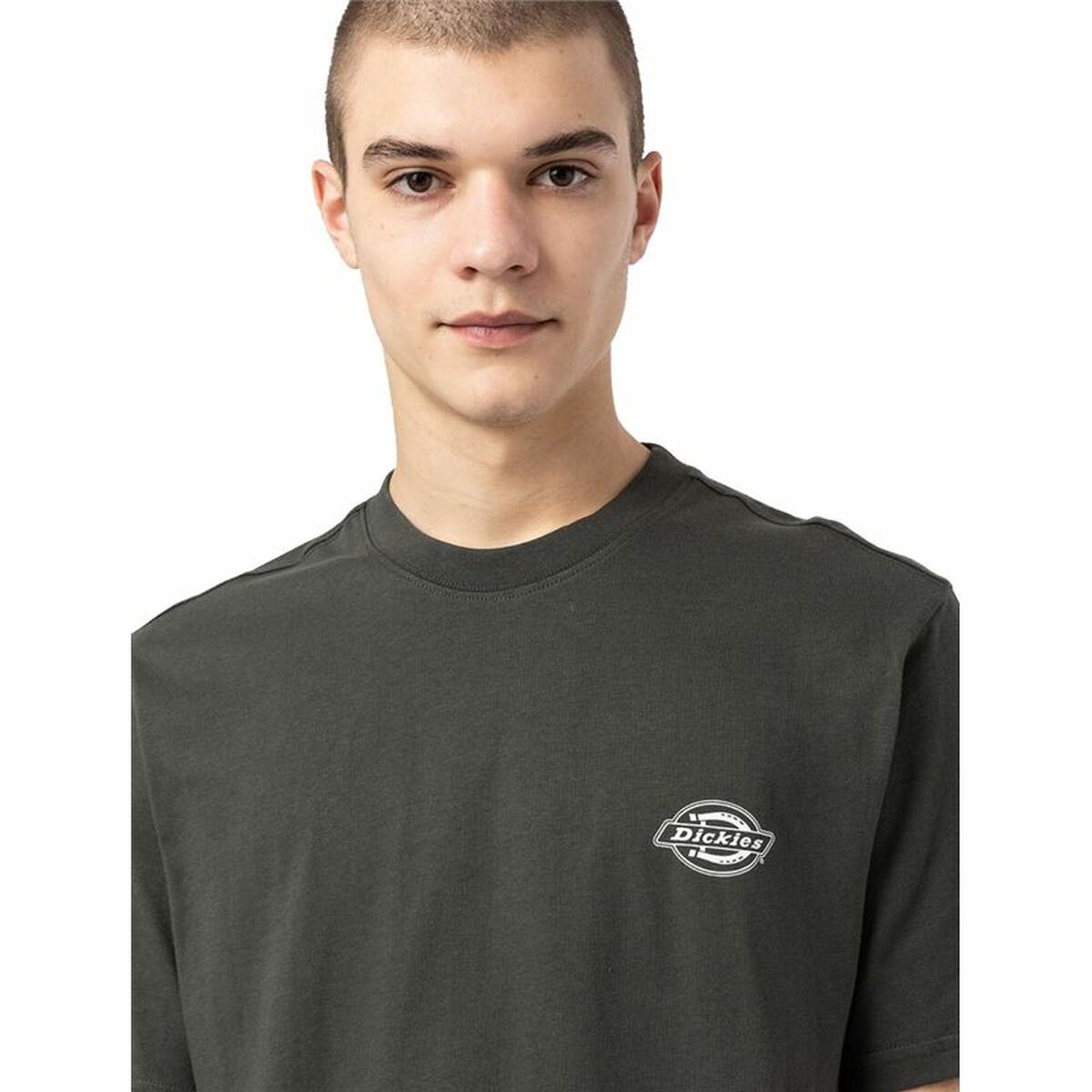 Camisola de Manga Curta Dickies Holtville Verde Homem - EcoNest