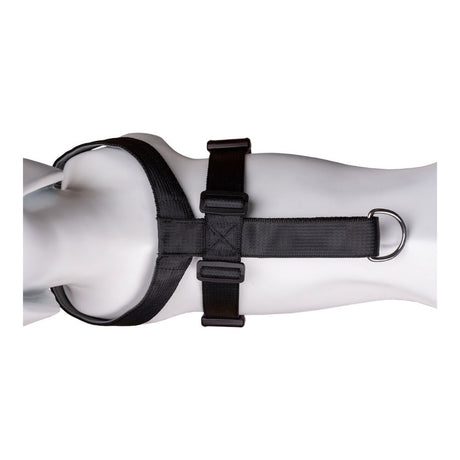 Arnês para Cães Company of Animals CarSafe Preto L - EcoNest